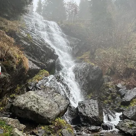 Koralpen アパート Rieding