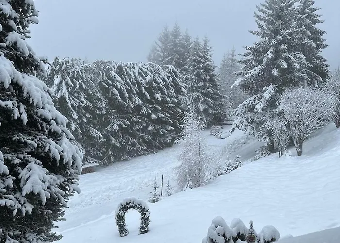 Apartament Koralpen *